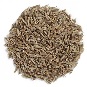 Cumin Seed Jeera Whole Manufacturers in Delhi