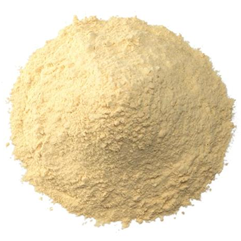 Garlic Powder Manufacturers in Delhi