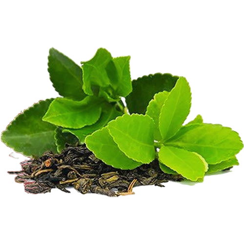 Herbal Tea