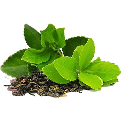 Herbal Tea