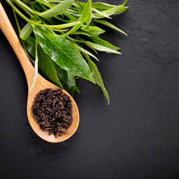 The Tilmeless Classic Tea