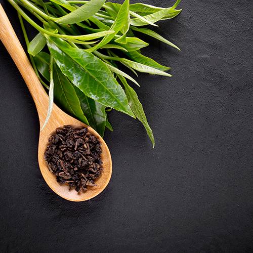 The Tilmeless Classic Tea
